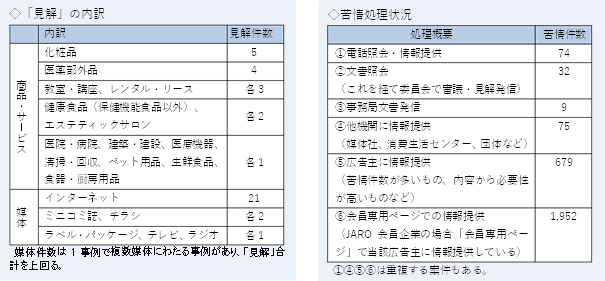 見解内訳の表。業種では化粧品5件、医薬部外品4件、教室講座、レンタルリース各3件など。媒体はインターネット21件、ミニコミ誌、チラシ各2件など。